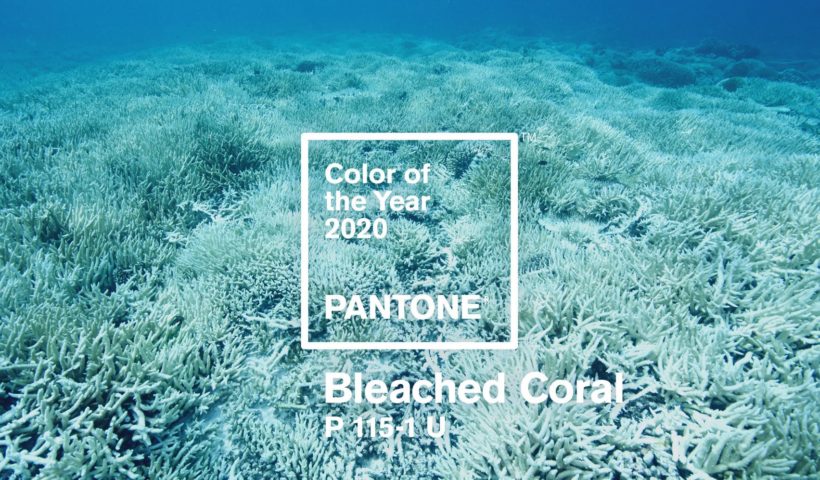 Запропонований колір 2020 року - Bleached Coral, знебарвлений корал