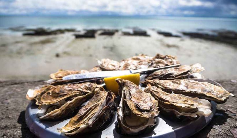 Морепродукты, устрицы